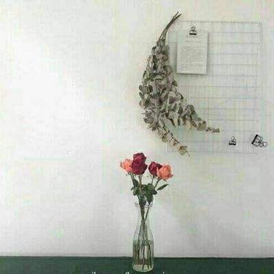 白蛇诛仙手游下载