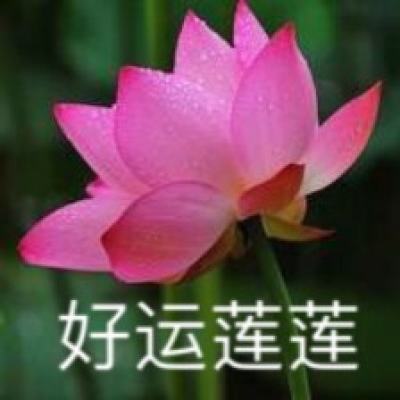 九州飞凰录手游果盘版下载